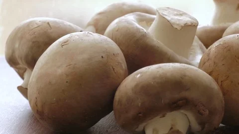 Raw champignons Stock Footage 69768496