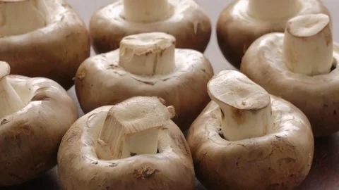Raw champignons, mushrooms Stock Footage 69767275