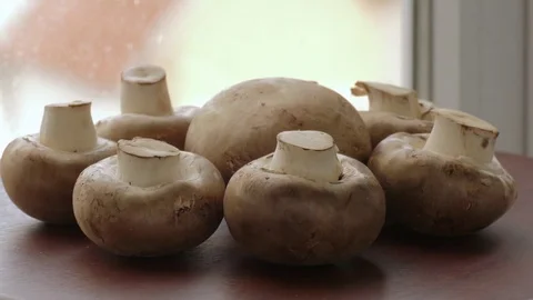Raw champignons, mushrooms Video stock 69767914