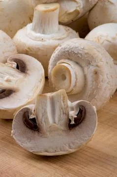 Raw Champignons Stock Photos