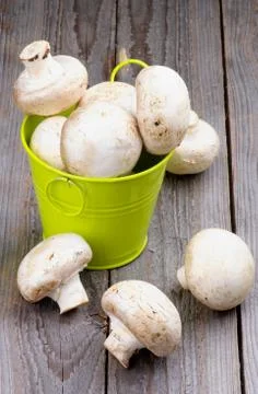 Raw champignons Stock Photos