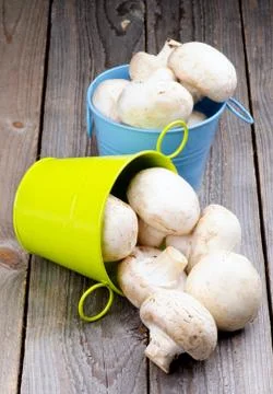 Raw Champignons Stock Photos