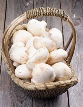 Raw Champignons Stock Photos