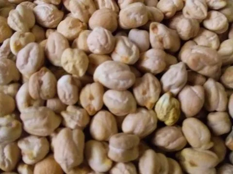 Raw chane or chick pea Stock Photos