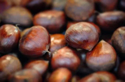 Raw chestnuts background close up macro Stock Photos