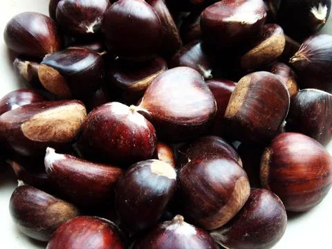 Raw chestnuts in Maramures county Фото
