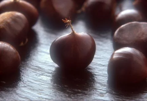 Raw chestnuts on slate Stock Photos