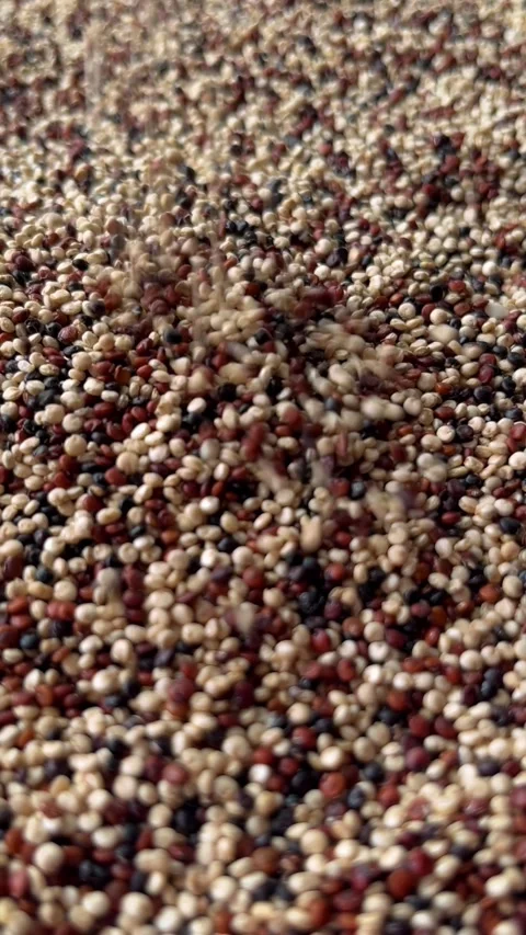 Raw chia seeds falling down macro photography. Vertical Stock Footage 336506970