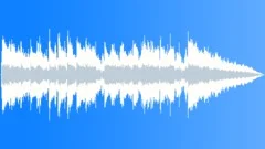 Raw Chicago Aggressive Dirty Blues 20sec editStock Music