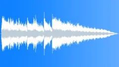 Raw Chicago Aggressive Dirty Blues 10sec editStock Music