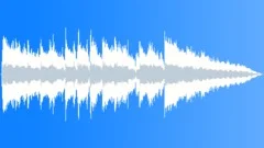 Raw Chicago Aggressive Dirty Blues 15sec edit Stock Music