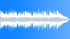 Raw Chicago Aggressive Dirty Blues 30sec editStock Music