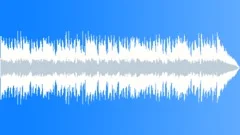 Raw Chicago Aggressive Dirty Blues 60sec editStock Music