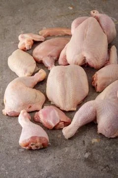 Raw chicken cuts Stock Photos
