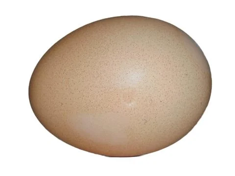 Raw chicken egg from Maramures county, Romania Stock Photos