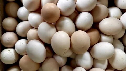 Raw Chicken Eggs Close View Stock Photos