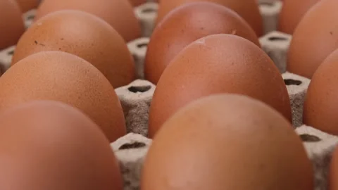Raw chicken eggs in egg box close up. Eggs are in the panel. Fresh chicken eggs Stock Footage 248435112