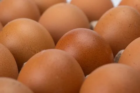Raw chicken eggs in egg box close up. Eggs are in the panel. Fresh chicken eggs Stock Photos
