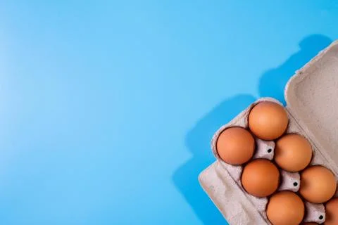 Raw chicken eggs in a package on a blue background. Copy space. Space for tex Stock Photos