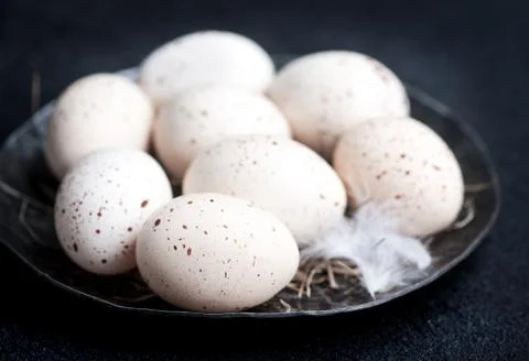 Raw chicken eggs Stock Photos