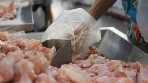 Raw Chicken frames. Fresh chicken parts from local farms. It was sold in Stock Photos