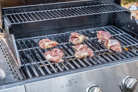 Raw chicken on the grill Stock Photos