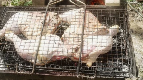 Raw chicken legs being cooked, in a grill near a pit with burning wood Stock-Footage 186401268