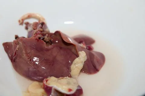 Raw Chicken Livers Stock Photos