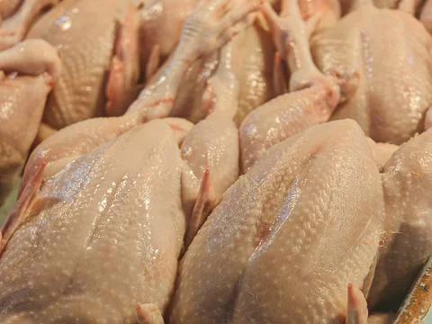 Raw Chicken Meat Close-Up Texture Background in Food Processing Environment Stock Photos