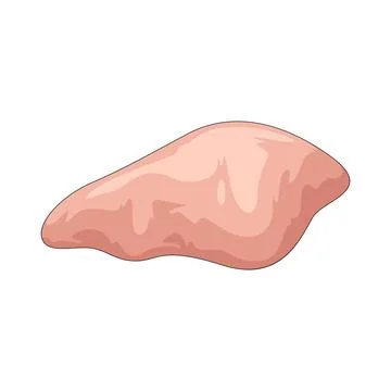 Raw chicken meat illustration Stock Illustration