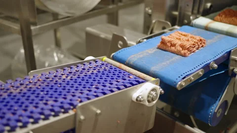 Raw Chicken Mince Blocks Transferring Between Linked Conveyor Belts Stock Footage 339007875