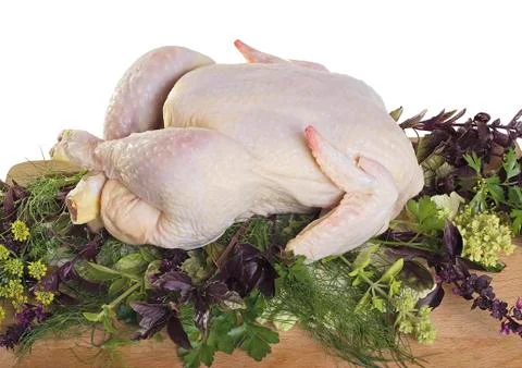 Raw chicken Stock Photos