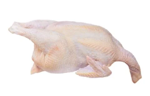 Raw chicken Stock Photos