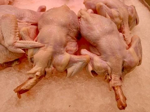 Raw chicken is placed with ice Stock Photos