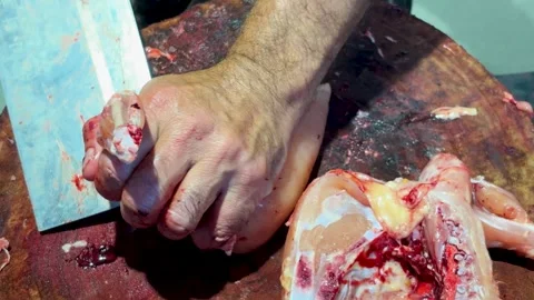 Raw chicken processing at butcher shop with hands cutting meat Vidéo 332912779