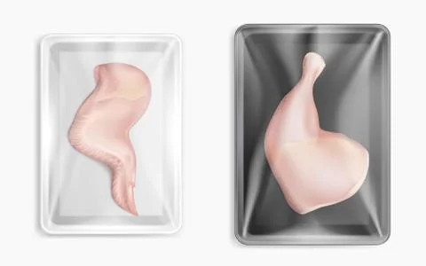 Raw chicken turkey meat in plastic food container Stock Illustration