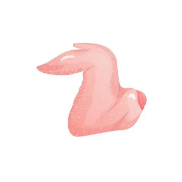 Raw chicken wing in flat design. Uncooked broiler poultry meat cutting. Vecto Stock Illustration