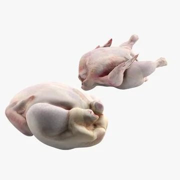 Raw Chickens 3D Model