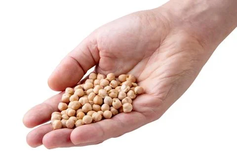 Raw chickpeas in a man's hand close-up on a white. Isolated Stock Photos