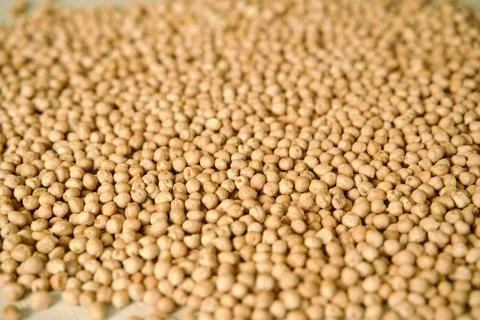 Raw chickpeas spread across a light surface Stock Photos