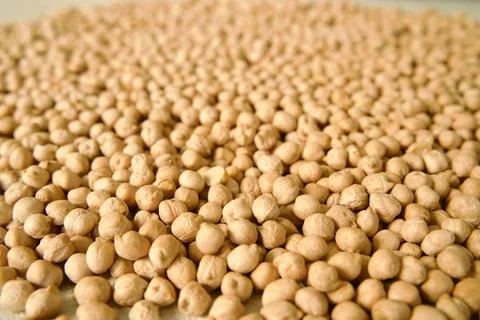 Raw chickpeas spread across a light surface Stock Photos