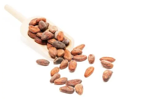 Raw chocolate beans Stock Photos
