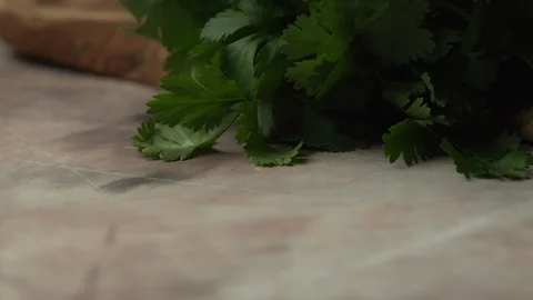 Raw Cilantro Video stock 89105238