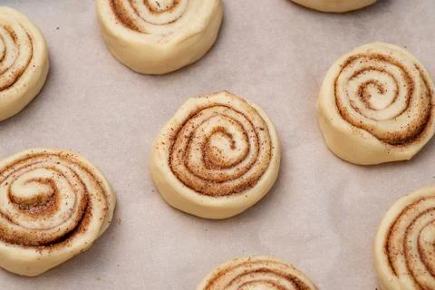 Raw cinnamon buns on baking paper ready for baking in the oven Stock Photos