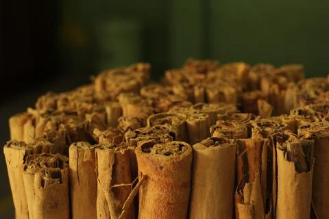 Raw Cinnamon Close Up Cinnamon Bark and bundle in factory Stock Photos