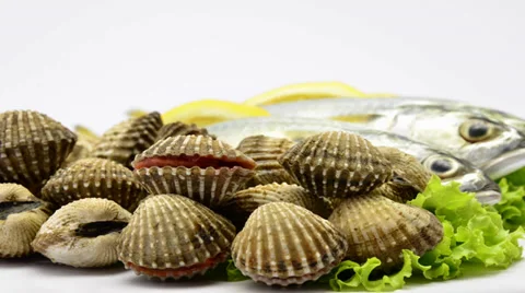 Raw clams open the shell Stock Footage 32325655