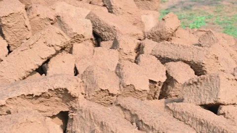 Raw clay bricks have soaked in water. Stock Footage 310895888