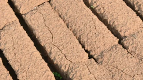 Raw clay bricks have soaked in water. 스톡 동영상 310939728