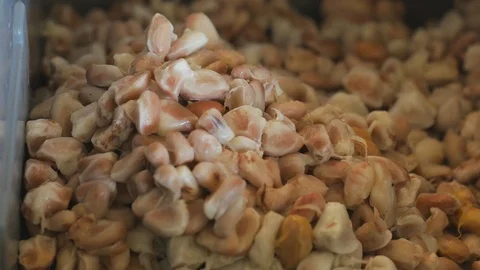 Raw Cocoa beans, Fresh cocoa beans in box. Stock Footage 98814720