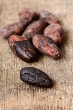 Raw Cocoa beans Stock Photos